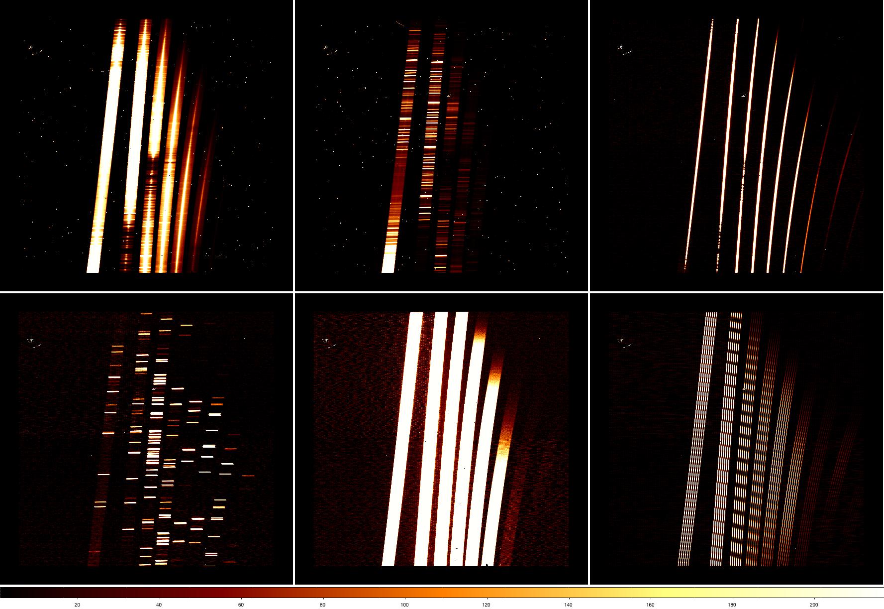 _images/data_examples.jpeg